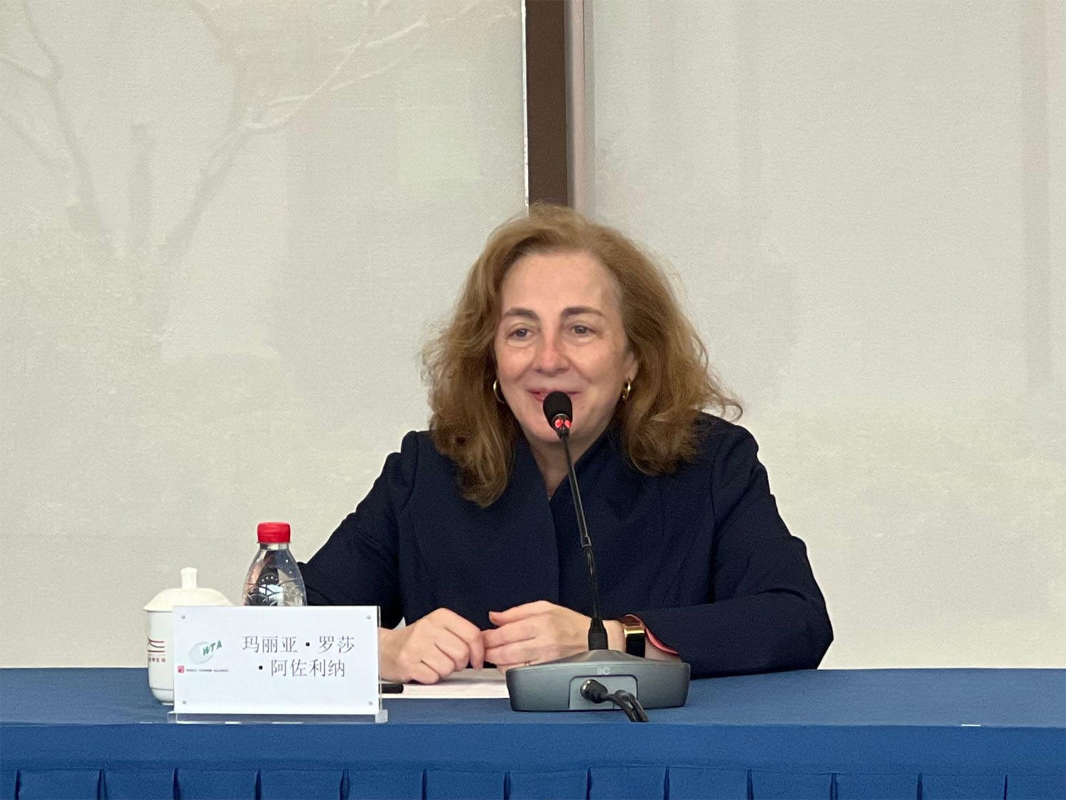 世界旅游联盟候任副主席兼秘书长郑浩会见意中协会主席玛丽亚·罗莎·阿佐利纳